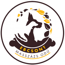 Ebcsont Masszázs Odú logó